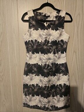 NWT Smashed Lemon Black & Cream Floral Jacquard Sheath Dress